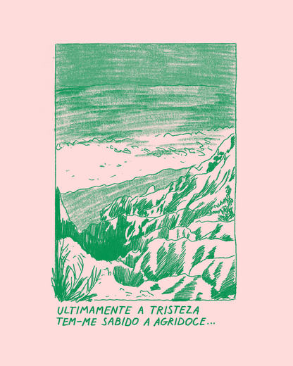 Agridoce Risoprint Zine