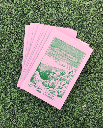 Agridoce Risoprint Zine