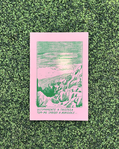 Agridoce Risoprint Zine