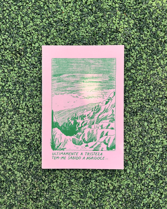 Agridoce Risoprint Zine