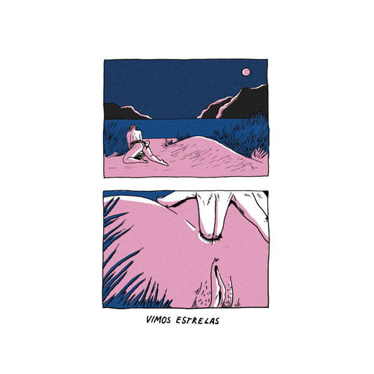 Two-panel print titled 'Vimos Estrelas', featuring an illustration of a nighttime landscape with a figure seated on a sandy surface under a pink sky. Panel 1 depicts a broader view of the landscape with the figure, while Panel 2 focuses on a close-up of the figure's lower body