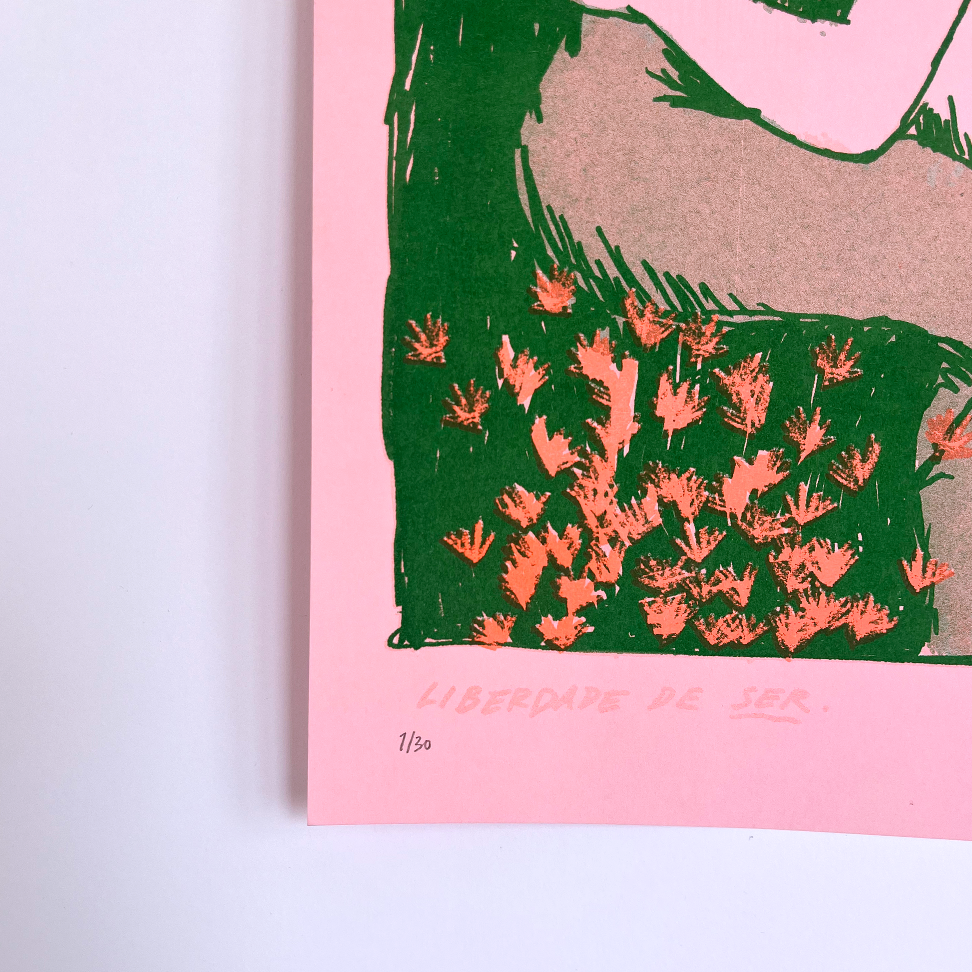 Red flowers, red carnations in a green background